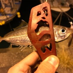 釣り納めアジング