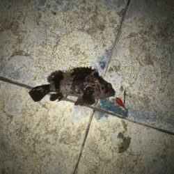 寒い以外はいい環境