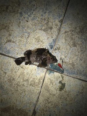 寒い以外はいい環境