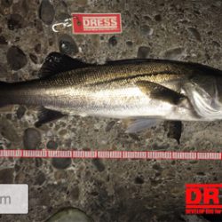 新年初釣行はゲストから…