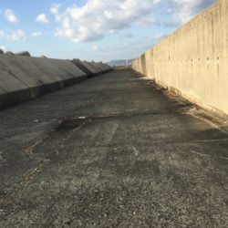 水軒テトラで安定感のガッシー