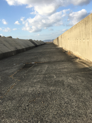 水軒テトラで安定感のガッシー