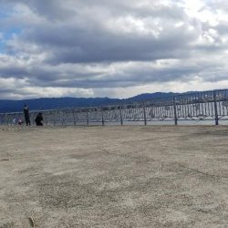 貝塚人工　カレイ狙い