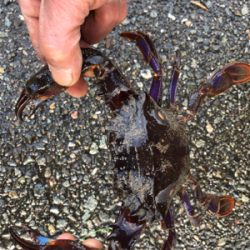 初釣りに来ましたが…