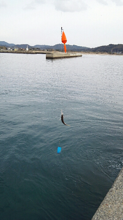 2018年1月4日釣行(釣り初め)in野北漁港