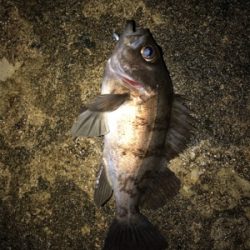 陽が落ちてから。