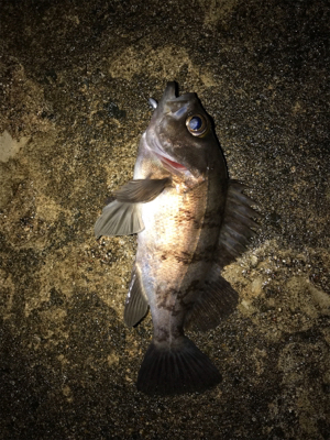 陽が落ちてから。