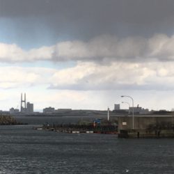 久しぶりの釣り堀