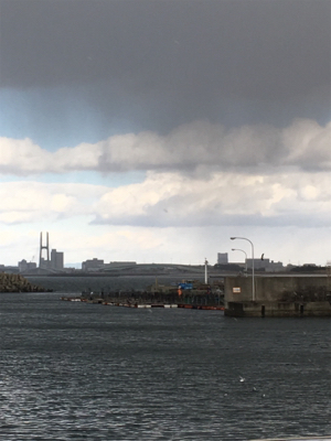 久しぶりの釣り堀