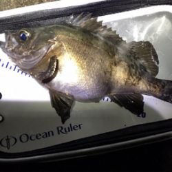 月が隠れたら、、