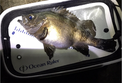 月が隠れたら、、