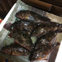 夕まずめの1時間‹‹\(´ω` )/››