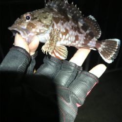 カレイ不発も嬉しい外道！