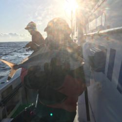 梅花丸で一つテンヤ