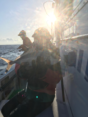 梅花丸で一つテンヤ