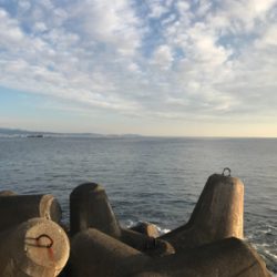 辛うじてボウズ逃れ