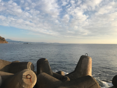 辛うじてボウズ逃れ