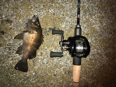 ベイトフィネス