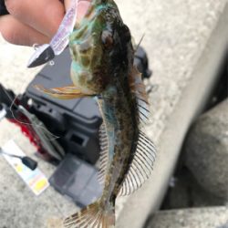 ライトワインド