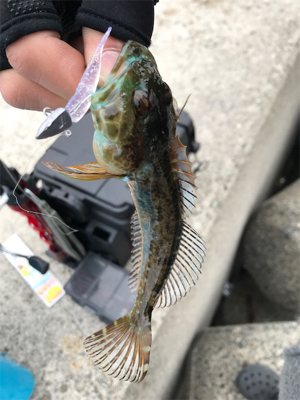 ライトワインド