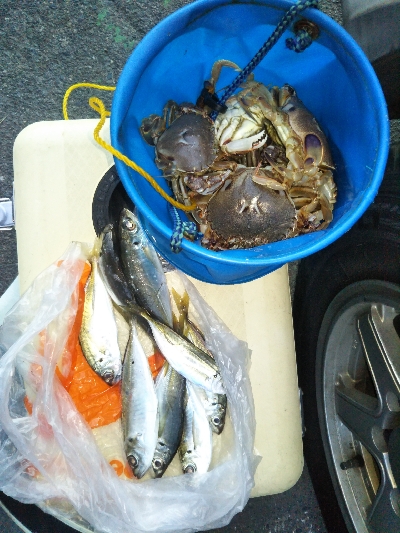 蟹&アジ