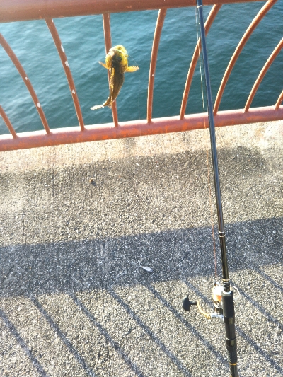 ちょい投げ練習