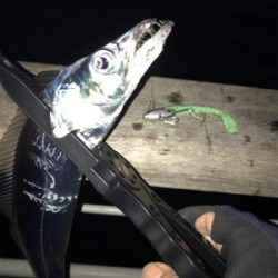 初フィッシュは…