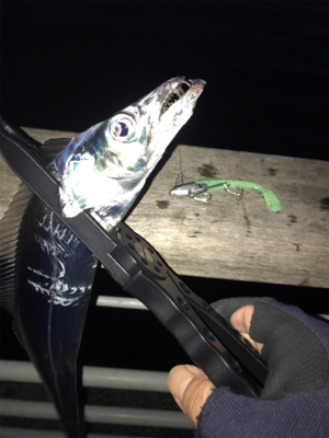 初フィッシュは…