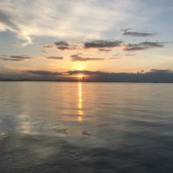 ムコイチ サワラ狙い