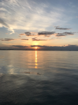 ムコイチ サワラ狙い