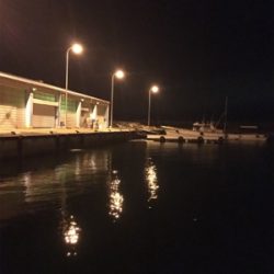 穏やかな 波、風、釣果