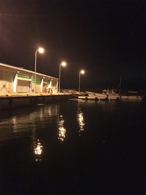 穏やかな 波、風、釣果