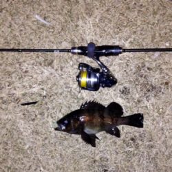 アクアパッツァを求めて