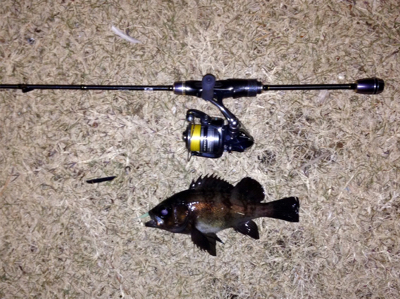 アクアパッツァを求めて