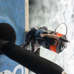 ロックフィッシュショート便で!