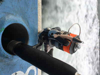 ロックフィッシュショート便で!