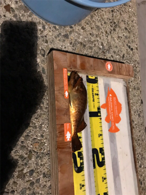 淡路島観光ホテル