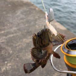 穴釣りになってしまった。