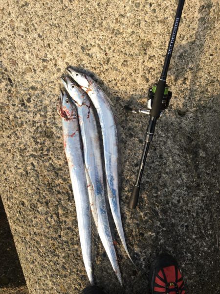 初釣りはタチウオ×3