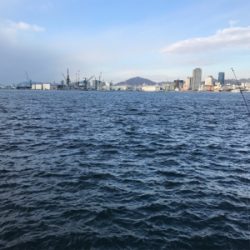 メバルとタケノコ