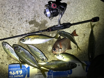久々夜アジング!(釣行其の参)