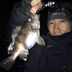 ナイトメバリングゲーム♪