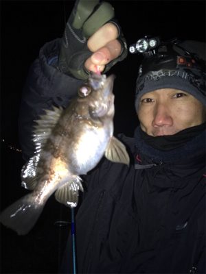 ナイトメバリングゲーム♪