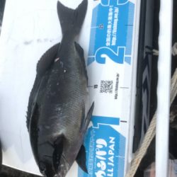 沖の島 磯釣り 撃沈。