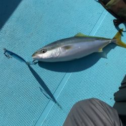 スロージギング