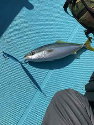 スロージギング