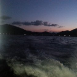 カワハギ超大型釣れました。