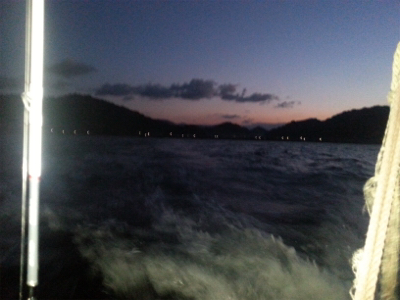 カワハギ超大型釣れました。