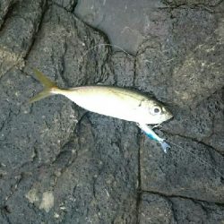 ライトゲーム(*´ω`*)