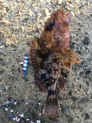 長崎市南部方面